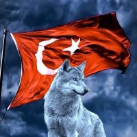 mehmet (@mehmet03981041) Twitter profile photo
