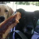 Bob Plumb - @theepossum - Twitter