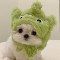 우르르⚡ (@h36149) 's Twitter Profile