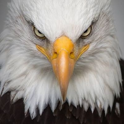 Jbloom4real's profile picture. Life is short, Don't live someone's else's.
Call your shots, That's the only way you win this