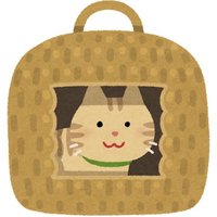 しらたま|シンプルに生きる (@shiratama_8man) 's Twitter Profile