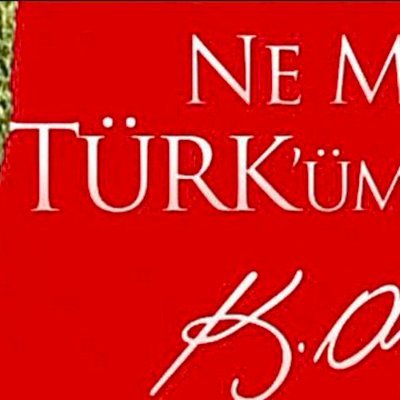 brlozyurt's profile picture. #RT ve fav onay değildir
#OrphanAcademy02