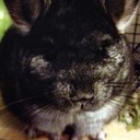 Tim Woods - @TimWooods - Twitter