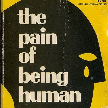 karissafajardo's profile picture. 