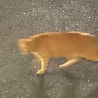 higoo-higoo (@higoohigoo) 's Twitter Profile Photo higoo-higoo (@higoohigoo) 's Twitter Profile Photo