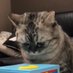 🐈⬛ (@no9x9) Twitter profile photo 🐈⬛ (@no9x9) Twitter profile photo