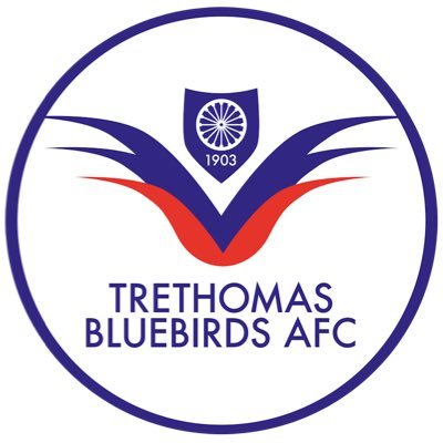 Trethomas Bluebirds AFC