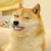 D O G E x® (@isuru_nilupul) Twitter profile photo D O G E x® (@isuru_nilupul) Twitter profile photo