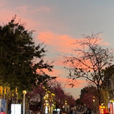 Xiaolinz22's profile picture. 