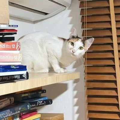 lucakliwon's profile picture. Walking Diary.