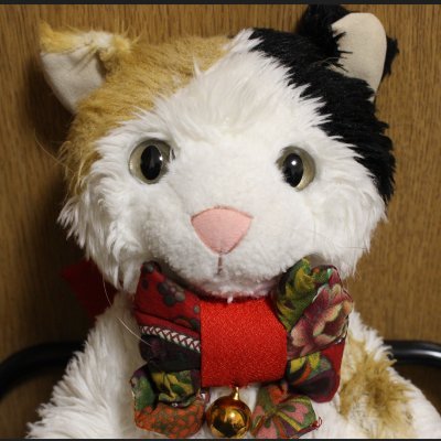 三毛猫の小春さんを筆頭に
おうちの仲間や参加したイベントの様子を投稿します。
#ぬいぐるみ
#ぬい撮り
#ぬい
#YouTube