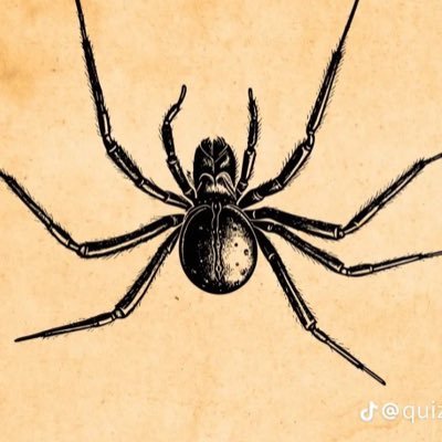 serfcunt's profile picture. 