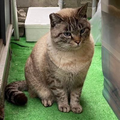 SyuD1567's profile picture. PoE2.ディアブロ4.スト6(ベガ使い) 雑食ゲーマー。プロ野球(横浜ファン)なども大好きです。最近はシャドバにハマってます。