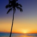 kathy pritt - @KathyPritt - Twitter