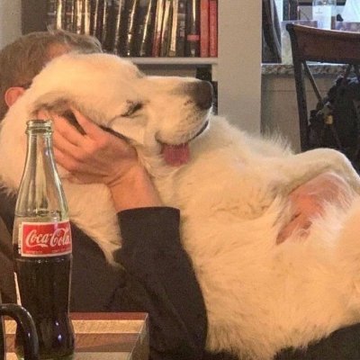 irisincrypto's profile picture. Crypto Iris