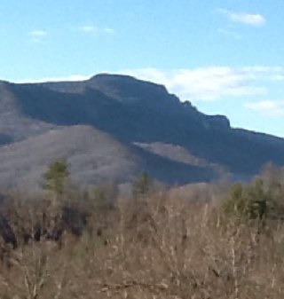 Medmertz's profile picture. 