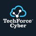 TechForce Cyber (@TechForceCyber) Twitter profile photo