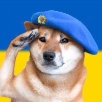 H. K. (@heike_kellen) 's Twitter Profile