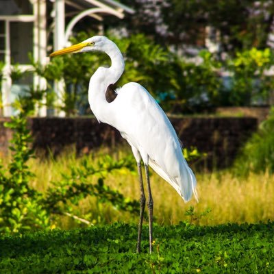 AlphaShadow_'s profile picture. Vá para outro perfil