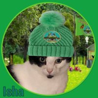 💞🐾💞 Isha 💞🐾💞(@Isha_Cat_) 's Twitter Profile Photo