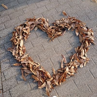 tenkuuranran's profile picture. 武術系動画に影響受け軽い運動開始。
(球技10年以上、カンフー約5年 演舞系)
体術・打撃は未経験。
つるぎと杖の素振りが好き
猫好き🐈