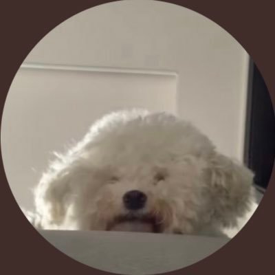 tagwin11's profile picture. 