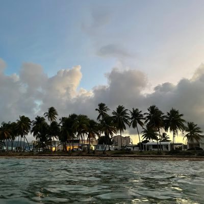 Lunadelucas's profile picture. 