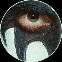 Cagonmiputaestampa (@josito_bonito__) 's Twitter Profile