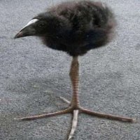 - (@waves878) 's Twitter Profile