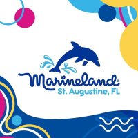Marineland Dolphin Adventure(@MarinelandFL) 's Twitter Profileg