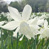 Teresa Howell (@teresa_how5044) 's Twitter Profile