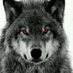 m.kdishs (@borsaekip34) Twitter profile photo