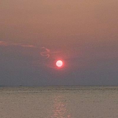 KarinKosegeran's profile picture. 