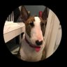 voicemyopinion2's profile picture. Trump Best POTUS Ever 🍊#BACKTHEBLUE #Bullterriers 🐶#BlesstheBlue #bluelivesmatter. No DMS 💙🇺🇸👮🏼‍♀️ 🇮🇹#GermanShepards