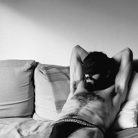 Zorra Dorada (@donchanguito) 's Twitter Profile