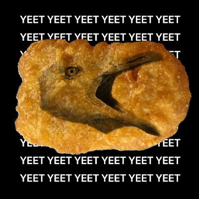 SeagullNuget's profile picture. 