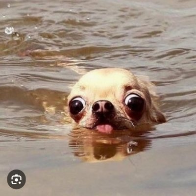 willyvondutch72's profile picture. 