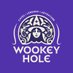 Wookey Hole Caves (@WookeyHole) Twitter profile photo