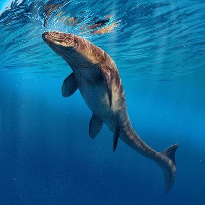 Guille_PeloArt's profile picture. 