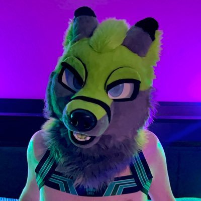 jaxthewolf8 Profile Picture