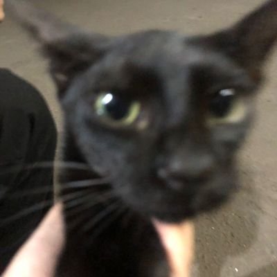 markli0w's profile picture. 