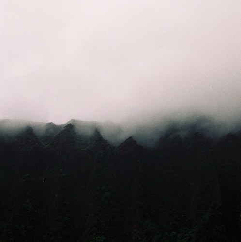 soupandtea's profile picture. Your money back.