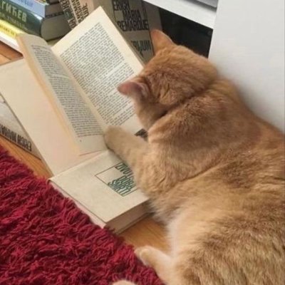 GulusUysal's profile picture. Deu hukuk