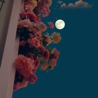 🕊ً(متعافيـہ من السرطان) (@ws_qeo) 's Twitter Profile