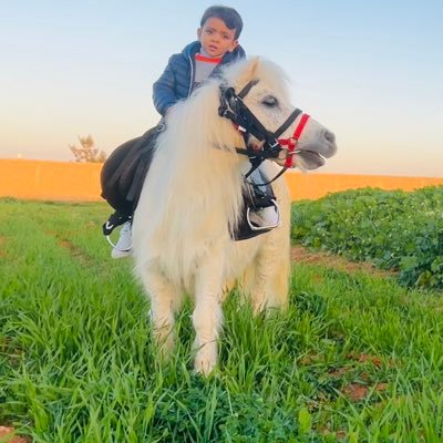 HBd18209052's profile picture. tit tri tiu