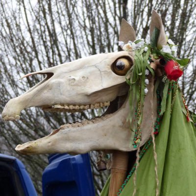 Dr Mari Lwyd