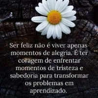 quipoptepak1975 (@quipoptepa64365) 's Twitter Profile