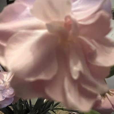 _happy_habits's profile picture. 