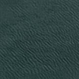 jakarotus's profile picture. 