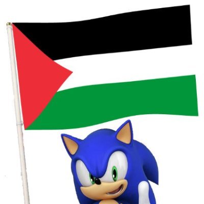 Sup guys, I'm SonicLover234 and I like running, Hot Dogs, Going on the Computer and Life. | Usual Attitude: 😎😁😉 | Race: 👦🏿 | FREE PALESTINE/CONGO/TIBET!